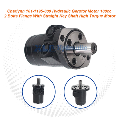 Charlynn 101-1195-009 Hydraulic Gerotor Motor - 100cc 2-Bolts Flange High Torque