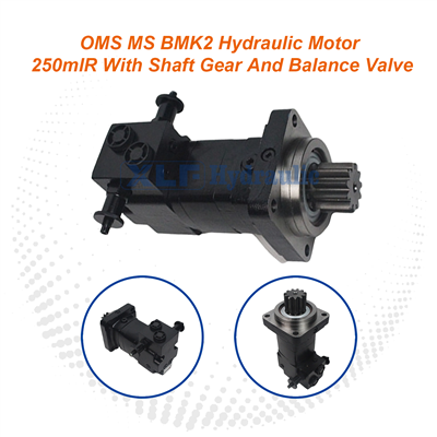 Hydraulic Motor OMS MS BMK2 250ml/R - Shaft Gear & Balance Valve